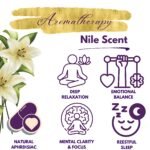 Calming aromatherapy benefits of Egyptian Musk oil