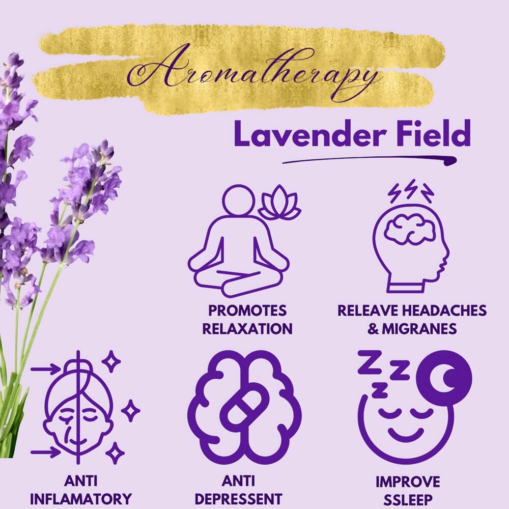 Lavender Aromatherapy – Calm & Relax While Driving Graphics summarizing aromatherapy benefits like stress relief, better sleep, and calming effect with lavender oil.