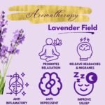 Graphics summarizing aromatherapy benefits like stress relief, better sleep, and calming effect with lavender oil.