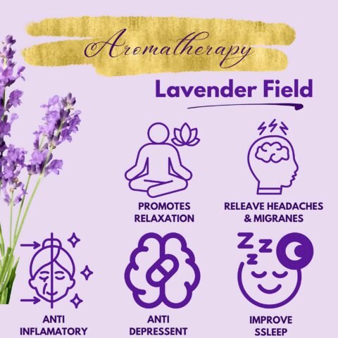 Lavender Aromatherapy – Calm & Relax While Driving Graphics summarizing aromatherapy benefits like stress relief, better sleep, and calming effect with lavender oil.