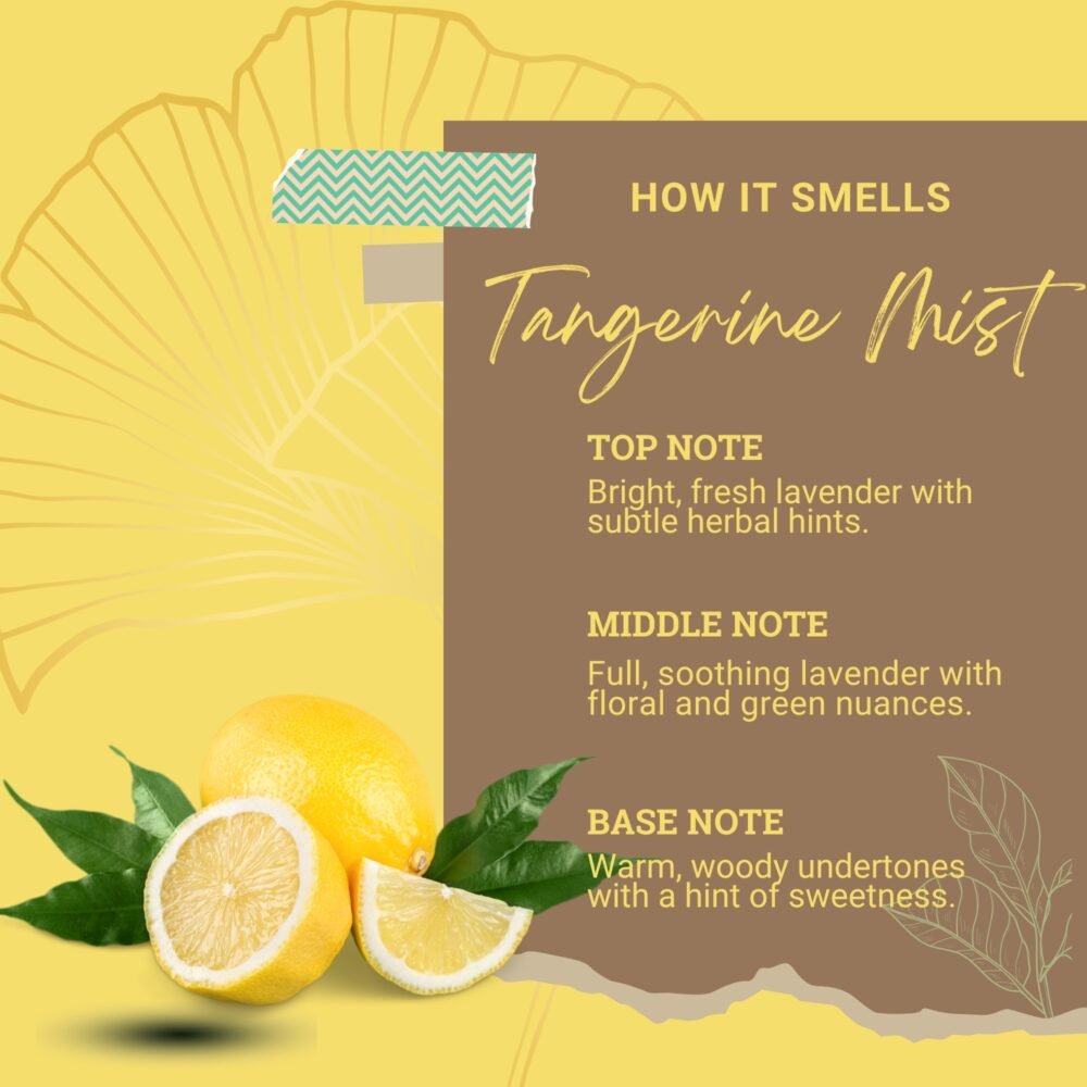 Fragrance notes chart showing lemon zest top note, jasmine mid note, sandalwood base note