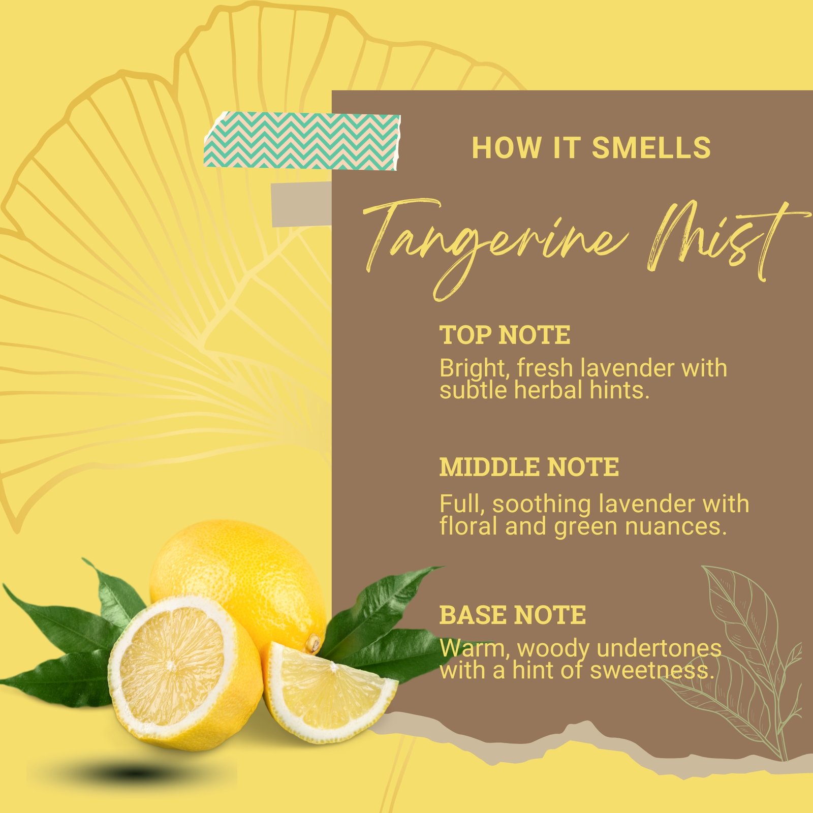 lemon-pod-fragrance-notes Fragrance notes chart showing lemon zest top note, jasmine mid note, sandalwood base note