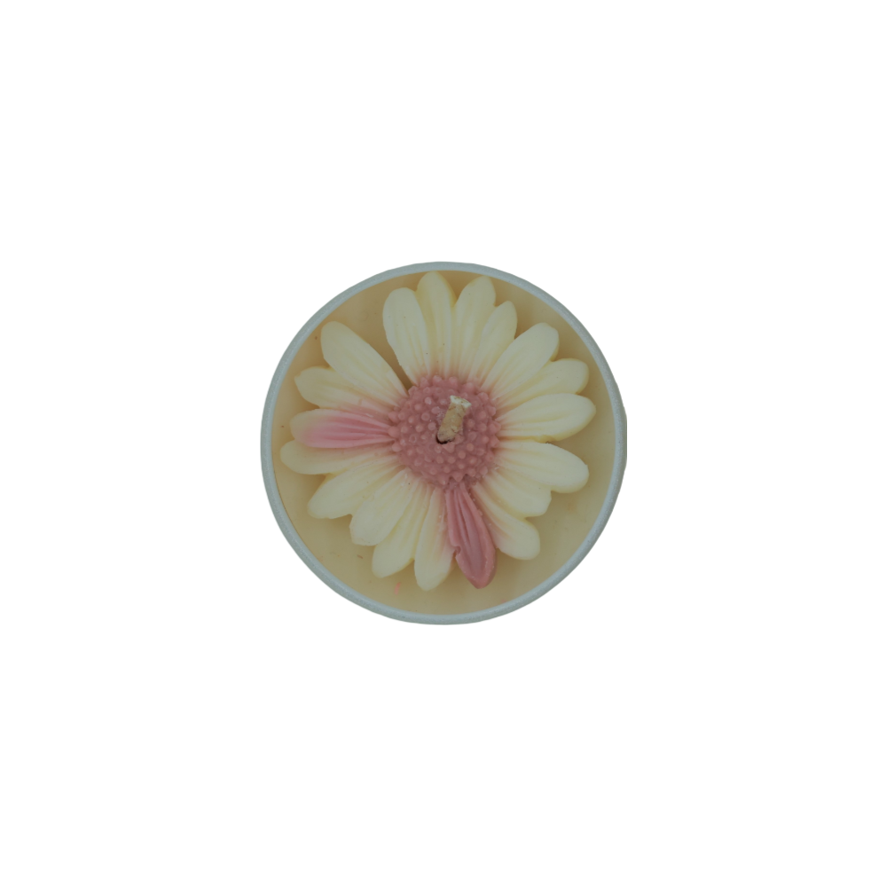 Oudy Wood Scented Jar Candle, Where to buy best non toxic candle