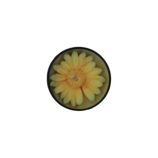 cedarwood scented jar candle