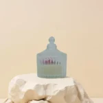 Untitled48 e1739776517401