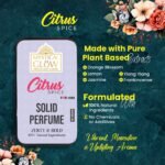 Citrus Spice fragrance pyramid showing top notes of lemon, middle notes of pepper and cinnamon, and base notes of musk and vetiver.