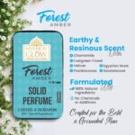 Fragrance structure of Forest Amber Solid Perfume for Men – pine and green notes on top, woody and amber base.