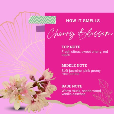 11 Cherry Blossom Air Freshener