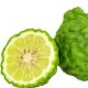 Bergamot