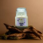 Vanilla Soy Candle India - Mystical Glow Yankee Jar Cozy Gourmand Warmth