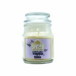 Vanilla soy candle specifications 220g Yankee jar 72 hour burn India premium